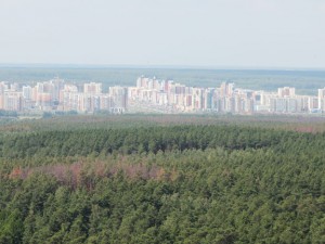 Очистим леса Челябинской области от мусора