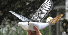 Китайские дроны-разведчики «маскируются» под птиц