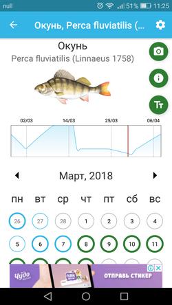 ТОП-5 мобильных приложений для рыбаков