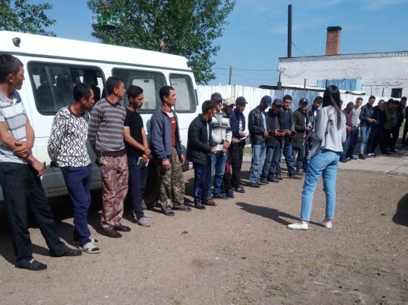 Почти три десятка мигрантов выдворили из РФ за сбор дикоросов в Забайкалье