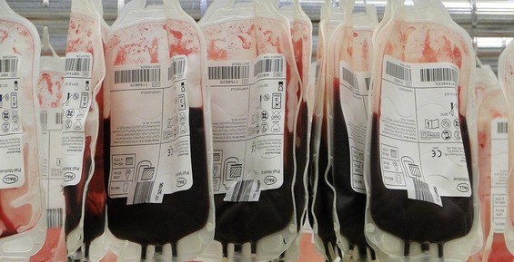 На Камчатке в ходе акции «Спасибо, донор!» заготовили около 6 литров крови