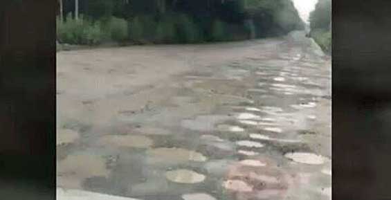 Дорога в пригород Петропавловска полностью покрылась ямами  (видео)