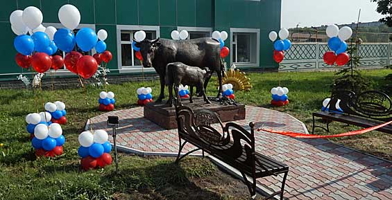 Камчатцев приглашают фотографироваться с бронзовыми коровой и теленком