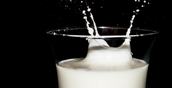 Камчатские власти рассказали о росте производства мяса и молока