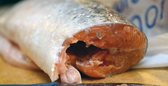 На Камчатке за время лососевой путины выловили более 27 тысяч тонн рыбы
