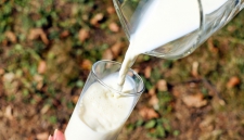 Учёные: стакан молока защитит от диабета