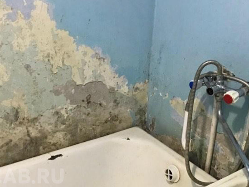 Министр Давыдов приезжал в роддом после публикаций фото ужасных условий