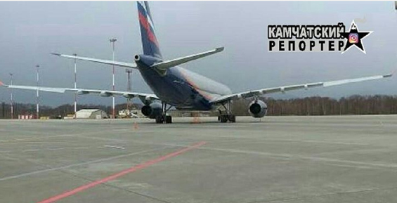 Птицы повредили Аэробус, прилетевший из Москвы на Камчатку (фото)